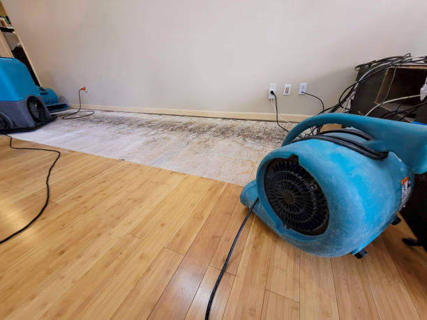 Reliable Basement Flood Cleanup contractor in Burlington, NC by Hirex Water Damage