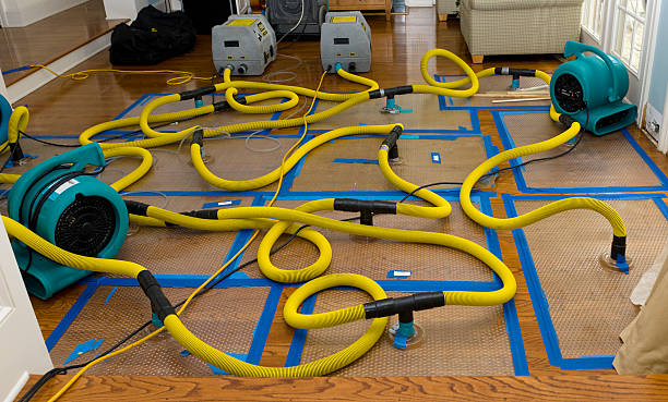 Professional Basement Flood Cleanup technician working in Burlington, NC